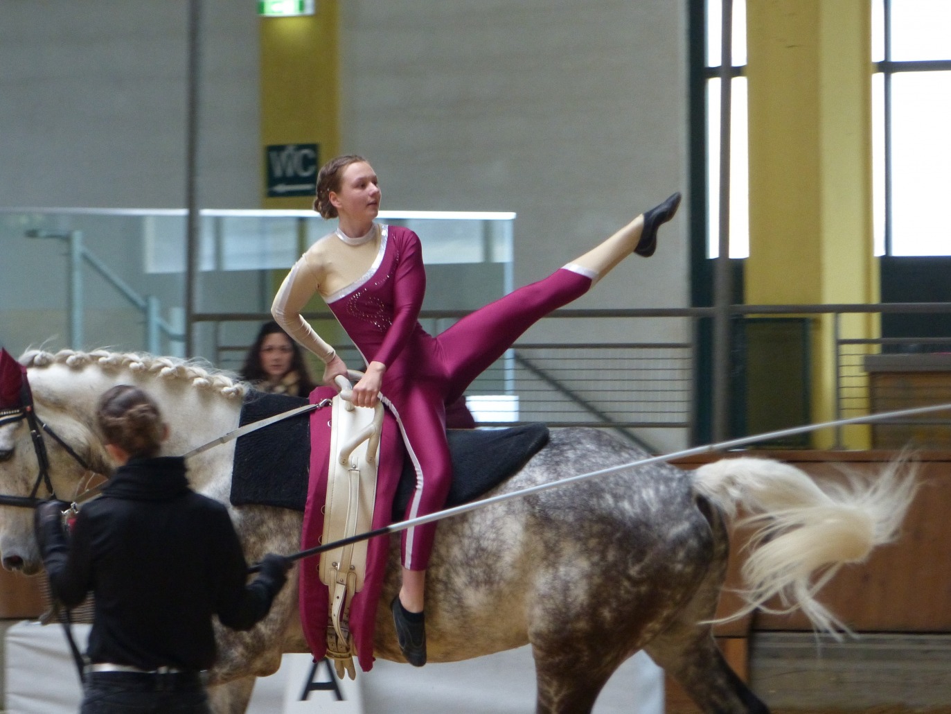 Voltigierturnier In Stadl Paura OÖ Marktgemeinde Frankenfels 1231